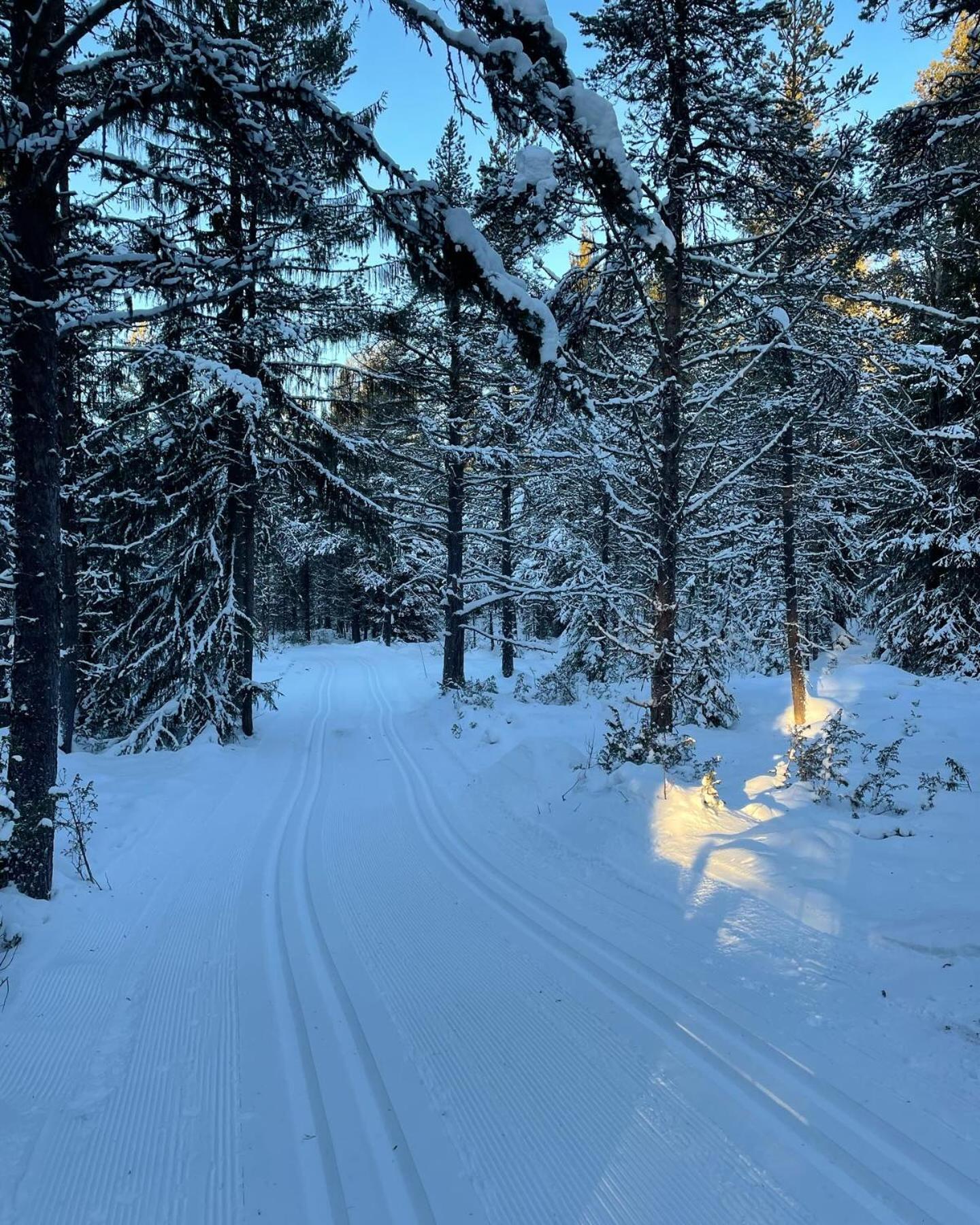Bjorgebu Camping As Mysusæter Exterior photo